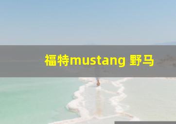 福特mustang 野马